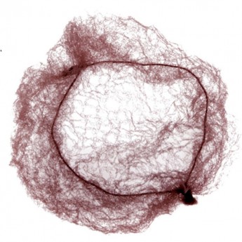 Сеточка-паутинка большая коричневая (2 шт.) DEWAL CE101 Сеточка-паутинка большая коричневая (2 шт.) DEWAL CE101